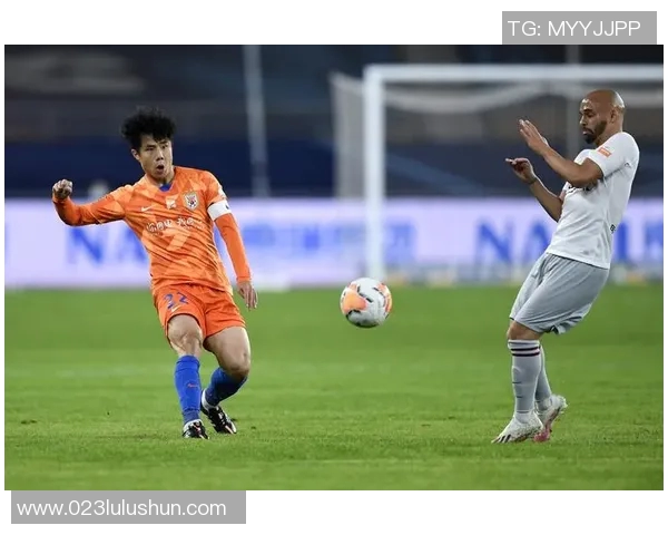 2011年鲁能对阵辽足精彩回顾与赛季分析