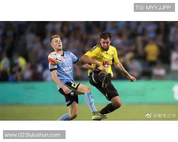 惠灵顿凤凰主场迎战中央海岸水手期待精彩对决与激烈竞争