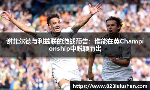谢菲尔德与利兹联的激战预告：谁能在英Championship中脱颖而出